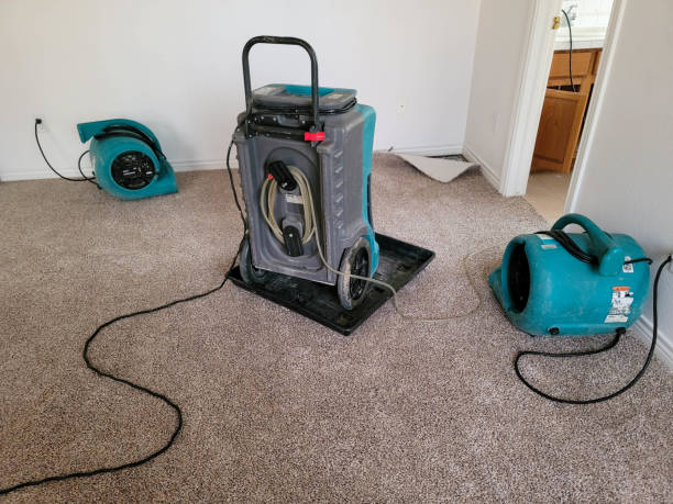 Best Carpet water damage restoration  in South Daytona, FL