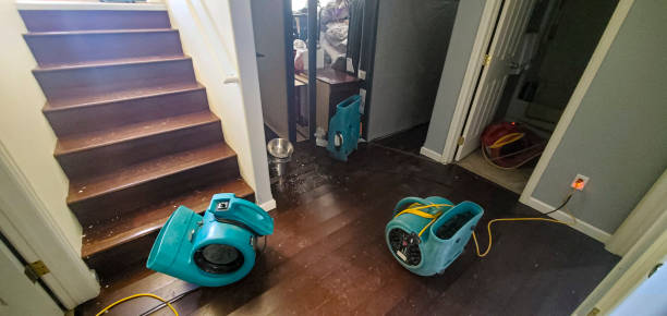 Best Water damage restoration near me  in South Daytona, FL
