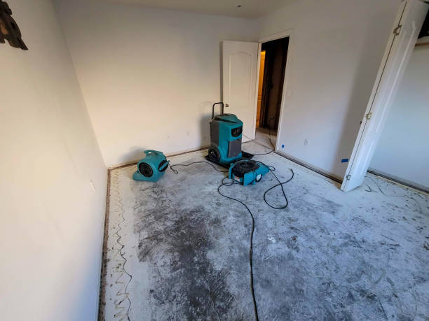 Best 24/7 water damage repair  in South Daytona, FL