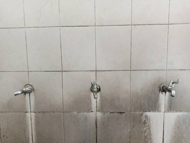 Best Flood restoration services  in South Daytona, FL