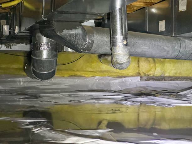 Best Water damage contractors near me  in South Daytona, FL