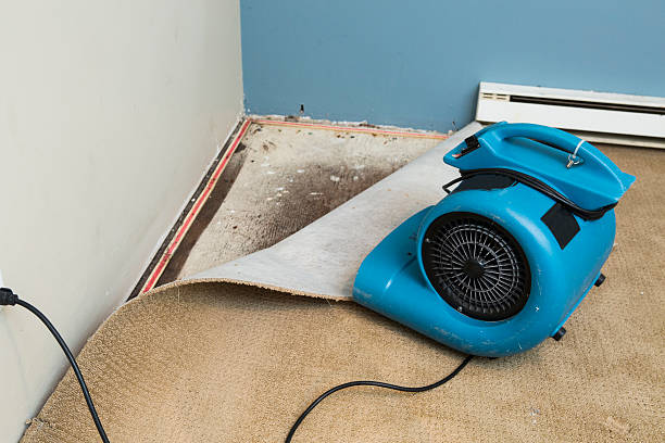 Best Flood damage cleanup  in South Daytona, FL