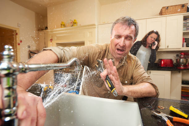 Best Flood restoration services  in South Daytona, FL